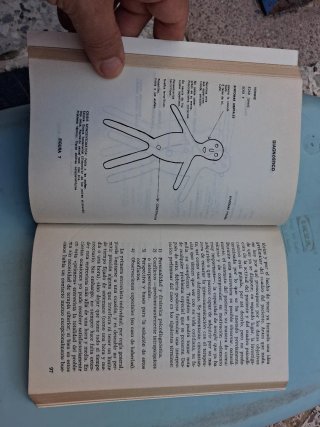 Psicoterapia Grupo- Analítica