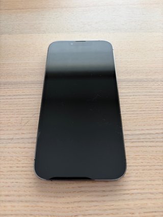 iPhone 13 Pro Gris