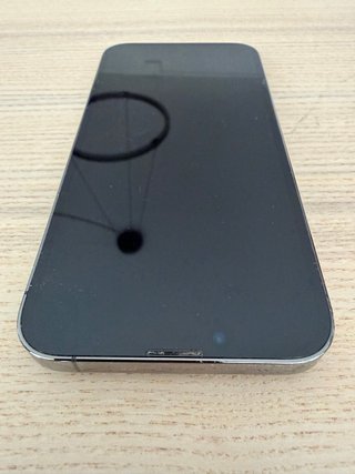 iPhone 13 Pro Gris