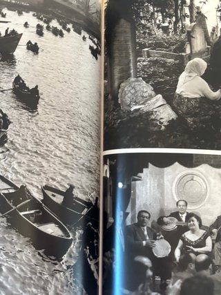Revista libro