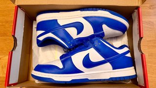 Nike Dunk Low Blu/Bianco Taglia 41