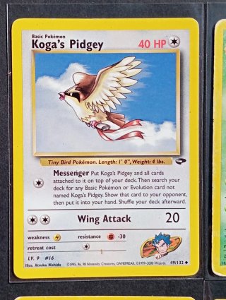 Carte dei Pokémon - Gym Challenge