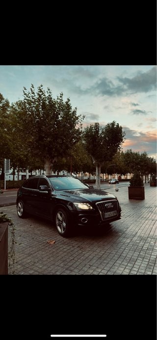 Audi Q5 2010