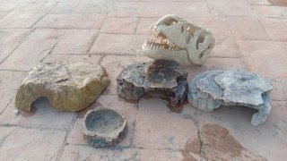 Accesorios reptiles: cuevas, comedero y decoración