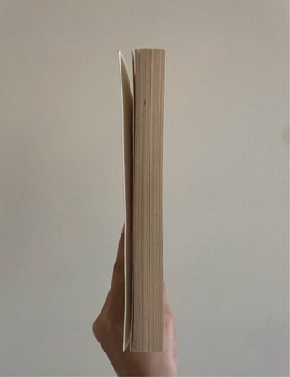 Il sentiero dei nidi di ragno - Italo Calvino