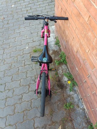 Bicicleta Infantil Frog 52 20