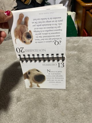 Libro de regalo
