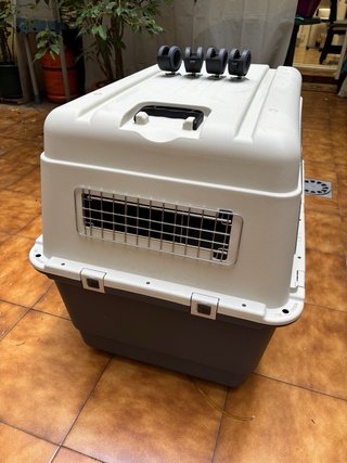 Transporte perro/aviation carrier NOMAD XL