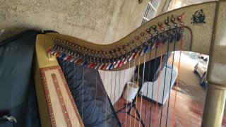 Arpa Llanera Venezolana Dorada