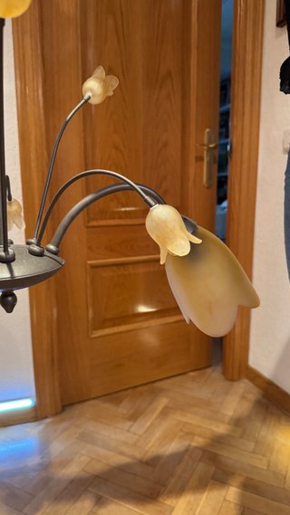Lámpara de techo interior con tulipas vidrio.