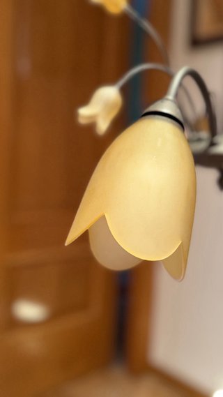 Lámpara de techo interior con tulipas vidrio.