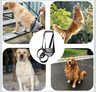 Arnés de ayuda para perros grandes 26 a 40 KG