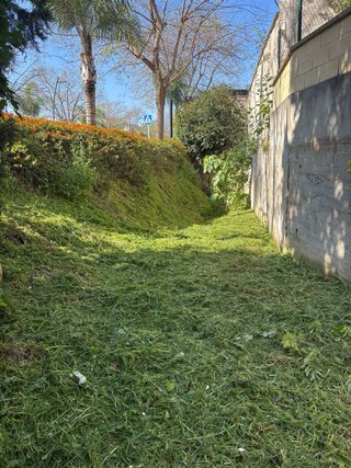 JARDINERO BARATO