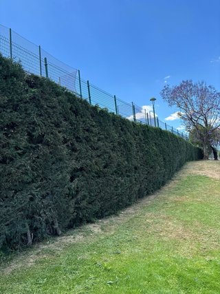 JARDINERO CON EXPERIENCIA