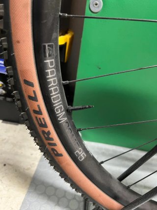 Trek Checkpoint SL 6 Gen 3 2025