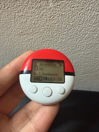 Pokewalker Nintendo