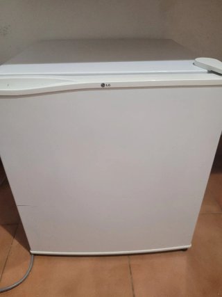 Mini Nevera LG