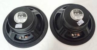 Pareja Altavoces DAS B8. 8"