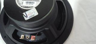 Pareja Altavoces DAS B8. 8"