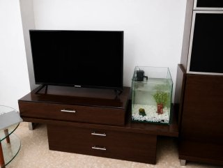Conjunto de muebles de salón