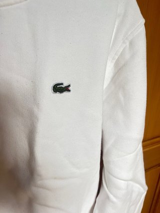 Pack 2 Sudaderas Lacoste y Tommy Hilfiger