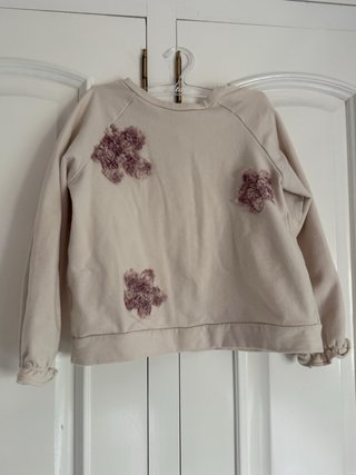 Lote Ropa Niña: Sudadera y Pantalón