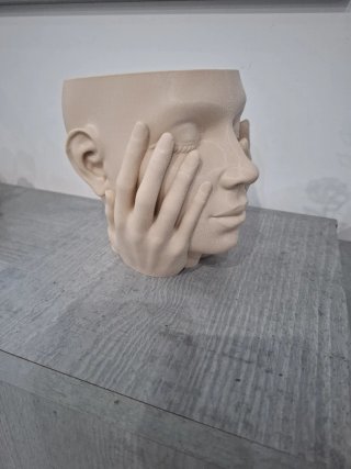 Vaso decorativo viso mani