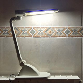 Flexo regulable con bombilla led de 6W