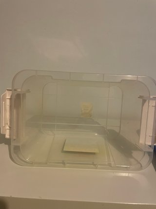 Caja de plástico organizadora