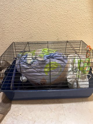 Jaula para conejo negra y azul