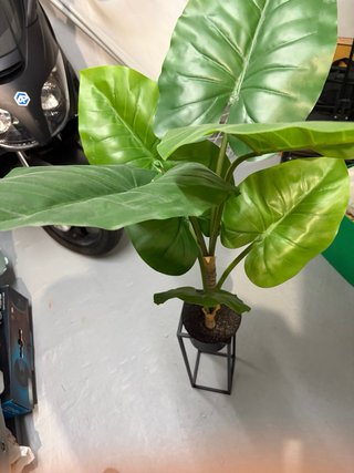 Planta Artificial Grande con Maceta Negra
