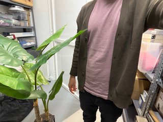Planta Artificial Grande con Maceta Negra