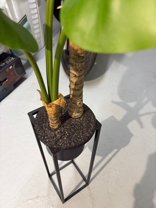 Planta Artificial Grande con Maceta Negra