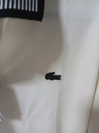 Camisa Polo Lacoste XXL