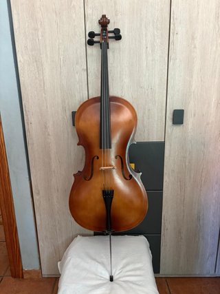 Violonchelo para niños