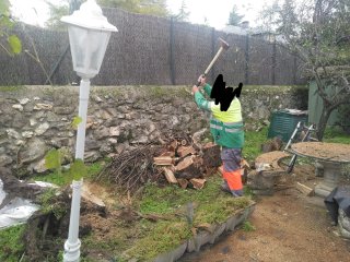 Negocio rentable de jardinería en venta-traspaso