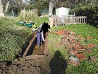 Negocio rentable de jardinería en venta-traspaso