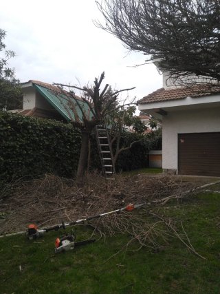 Negocio rentable de jardinería en venta-traspaso