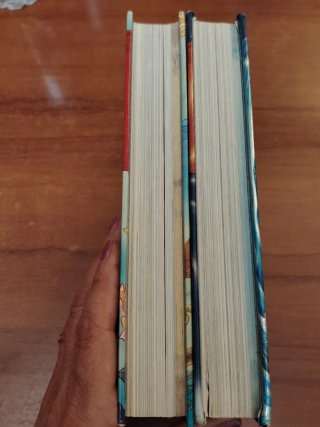 Dos libros Sexto y Septimo de Geronimo Stilton