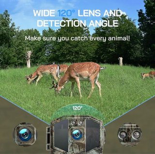 Cámara Fototrampeo WOLFANG WiFi 4K