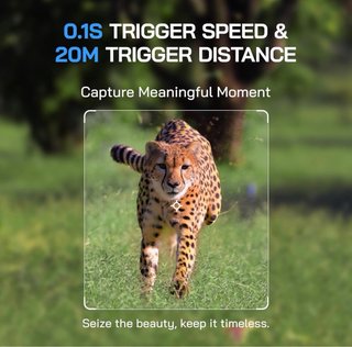 Cámara Fototrampeo WOLFANG WiFi 4K