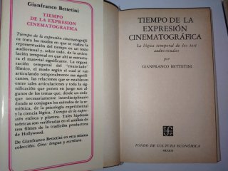 Lote 2 Libros Cine Gianfranco Bettetini - FCE