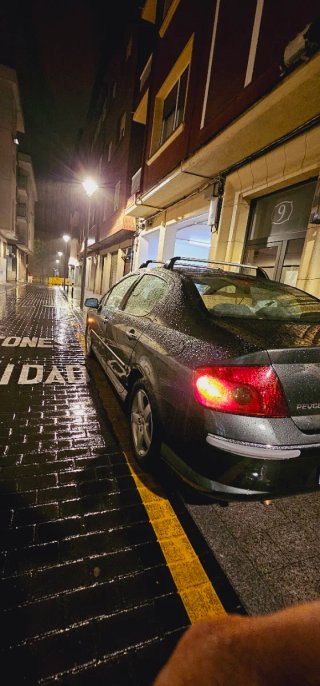 Peugeot 407 2007