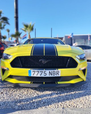 Ford Mustang 2021