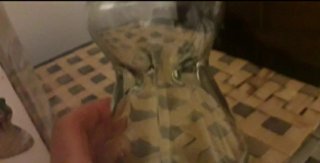 Vaso per Giacinti in Vetro Trasparente