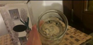 Vaso per Giacinti in Vetro Trasparente