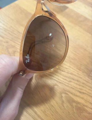 Gafas de Sol Ray-Ban Erika Marrones