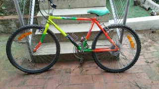Bicicleta Montaña Colorida