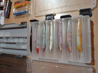 Lote de pesca variado