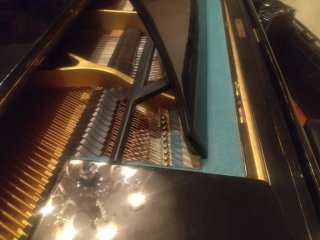 Piano  colin negro